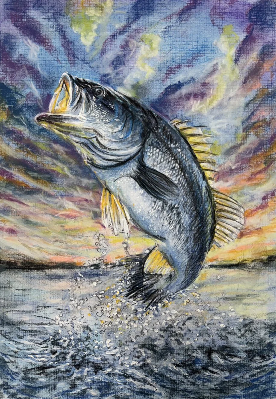 2026 Fish International Winners — Art of Conservation